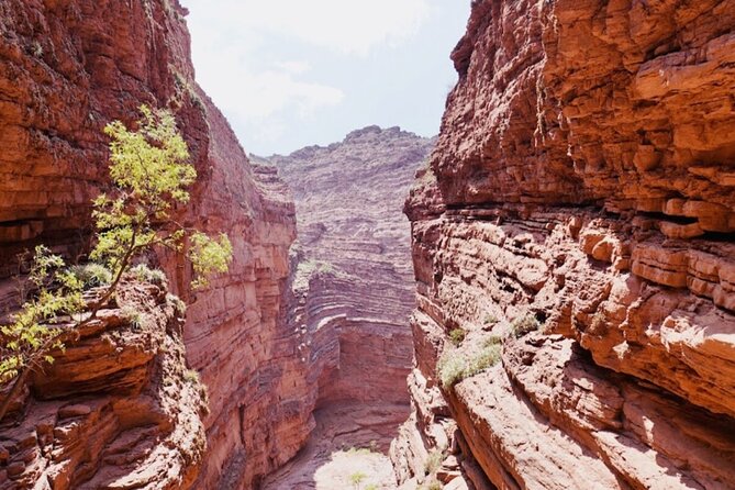 From Salta: Full-Day Tour to Cafayate, Land of Wines - Two hours to explore Cafayate