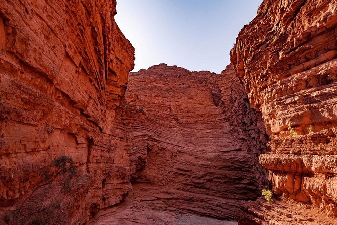 From Salta: Full-Day Tour to Cafayate, Land of Wines - The return trip through the gorge