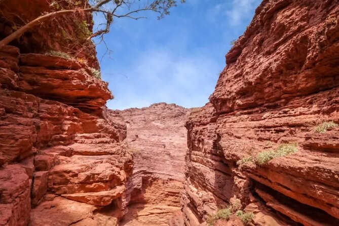 From Salta: Full-Day Tour to Cafayate, Land of Wines - Guides, language, and group size