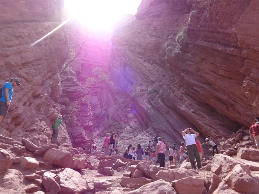 From Salta: Full-Day Tour to Cafayate with Wine Tasting - Why this day trip is worth considering