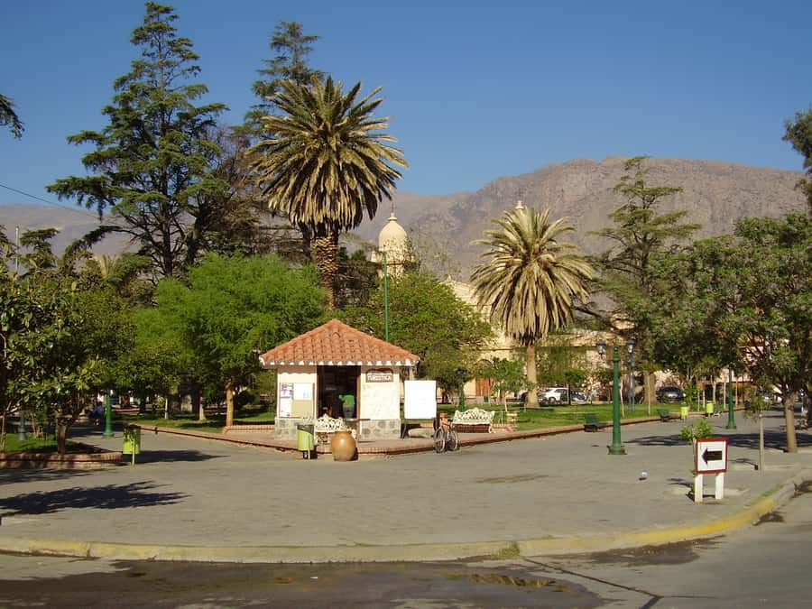 From Salta: Full-Day Tour to Cafayate with Wine Tasting - What the winery visit is really like
