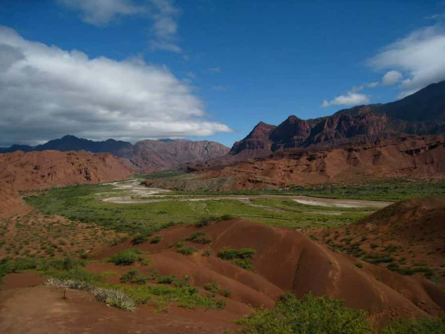 From Salta: Full-Day Tour to Cafayate with Wine Tasting - 7:00 AM pickup through Salta’s tobacco country