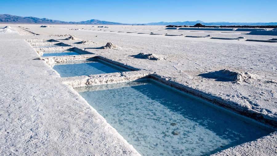 From Salta: Full-Day Trip to Salinas Grandes and Purmamarca - The Cuesta de Lipan climbs into high country