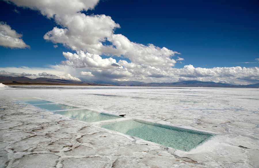 From Salta: Full-Day Trip to Salinas Grandes and Purmamarca - Lunch, shopping, and the long ride home
