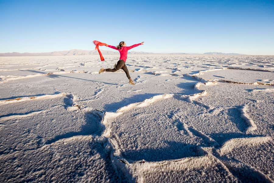From Salta: Great Salt Flats Day Tour - Route 40 to the Salinas Grandes