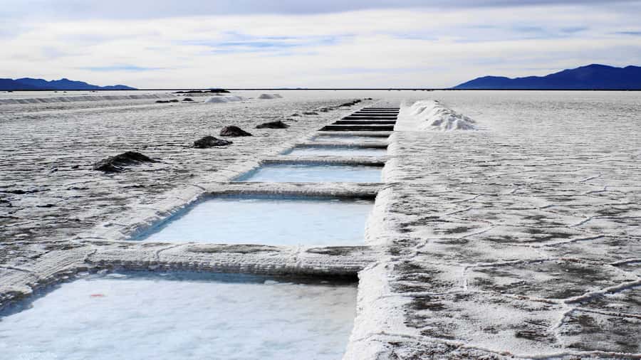 From Salta: Great Salt Flats Day Tour - Cuesta de Lipán and the high road down
