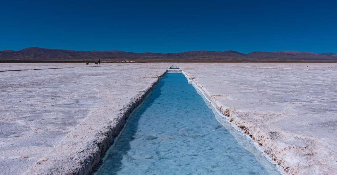 From Salta: Local Landscape, Winery, and Culture Tour - Transport, pace, and physical comfort