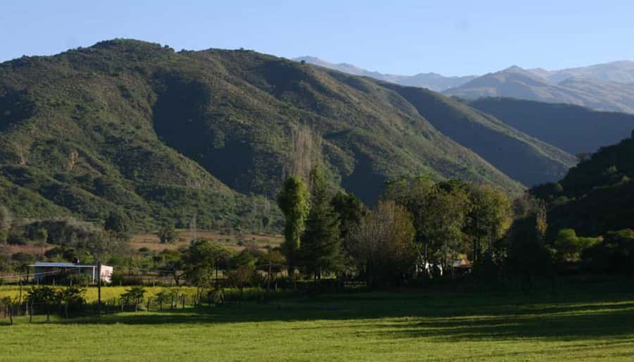 From Tucumán: Tafí del Valle, Quilmes Ruins and Cafayate - Key points before you book