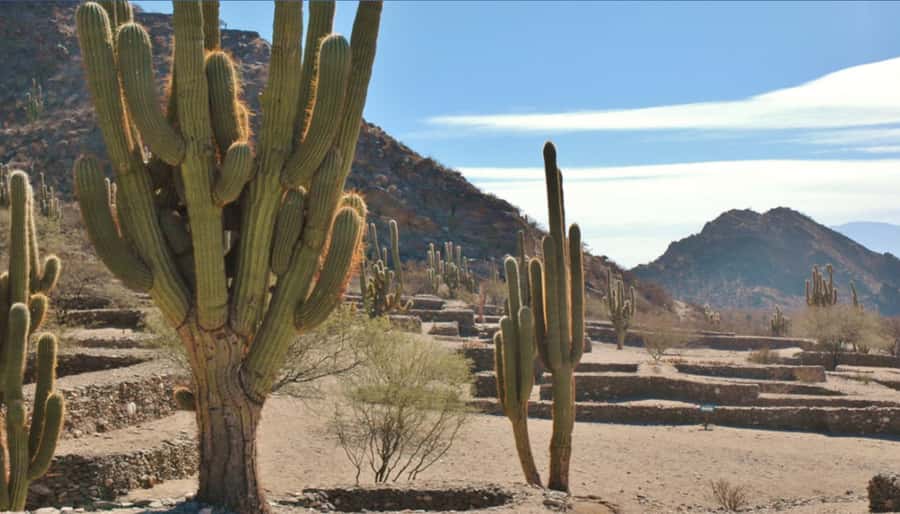 From Tucumán: Tafí del Valle, Quilmes Ruins and Cafayate - The morning pickup and route into the hills