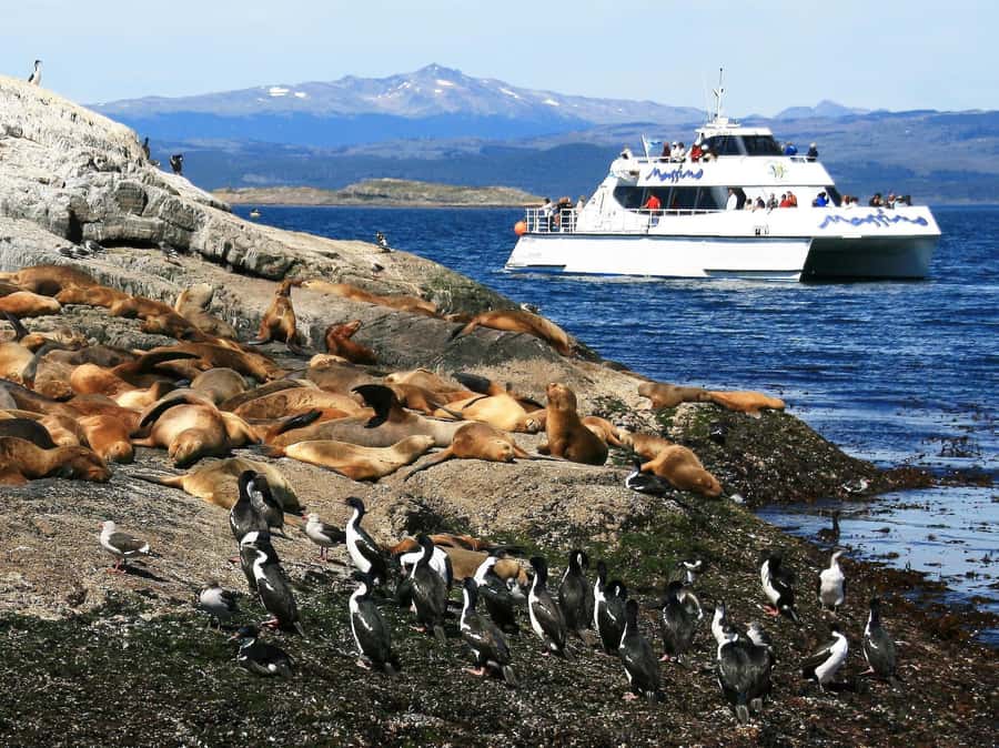 From Ushuaia: Beagle Channel Yacht Sailing Tour - Ushuaia Bay and the first mountain views