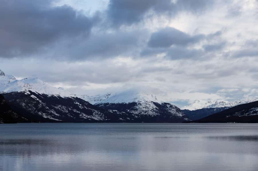 From Ushuaia: Discover Tierra del Fuego National Park - Key points to know before you book