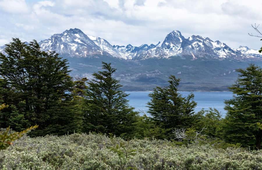 From Ushuaia: Discover Tierra del Fuego National Park - Should you book it?