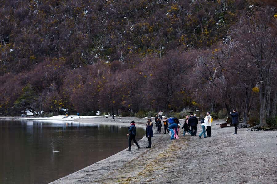 From Ushuaia: Discover Tierra del Fuego National Park - Why Tierra del Fuego National Park deserves your time