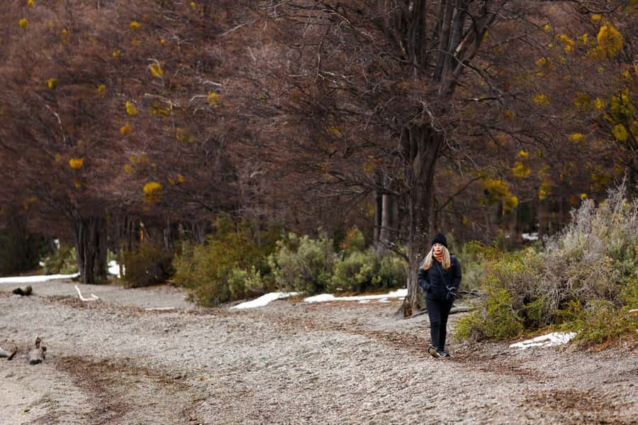 From Ushuaia: Discover Tierra del Fuego National Park - Laguna Verde and the final road to Lapataia Bay