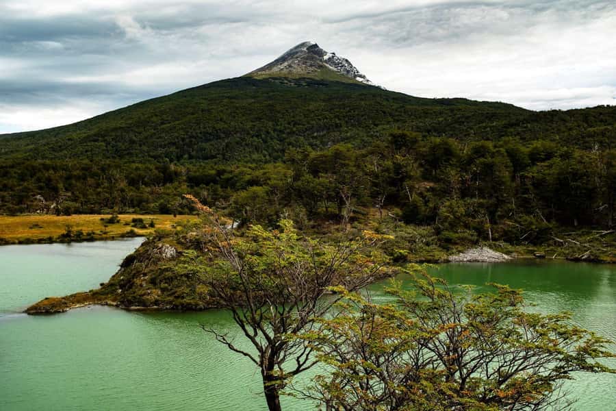 From Ushuaia: Discover Tierra del Fuego National Park - What $72 really buys you