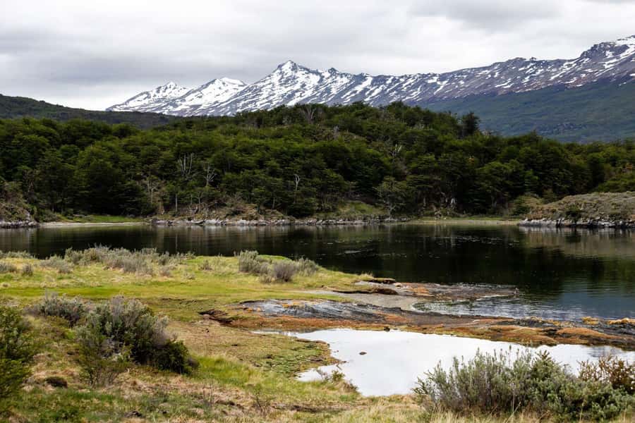 From Ushuaia: Discover Tierra del Fuego National Park - Who should book this five-hour park tour?