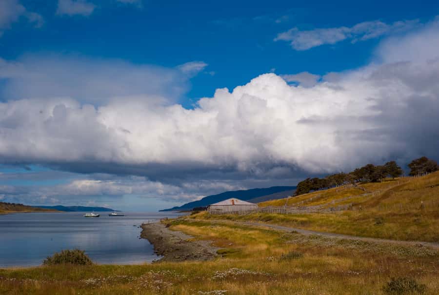 From Ushuaia: Penguin Watching Tour by Catamaran - Hotel pickup and the importance of the meeting point