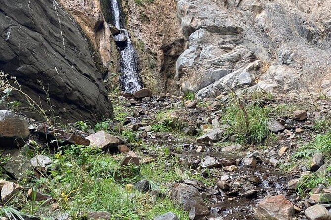 Full Day 4x4 Safari Tour in Villavicencio, Mendoza - What the $120 price really covers