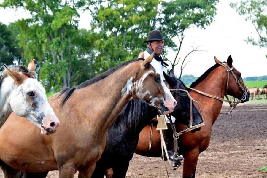 Full-Day at Santa Susana Ranch with BBQ, Drinks and Show - Should you book Santa Susana Ranch?