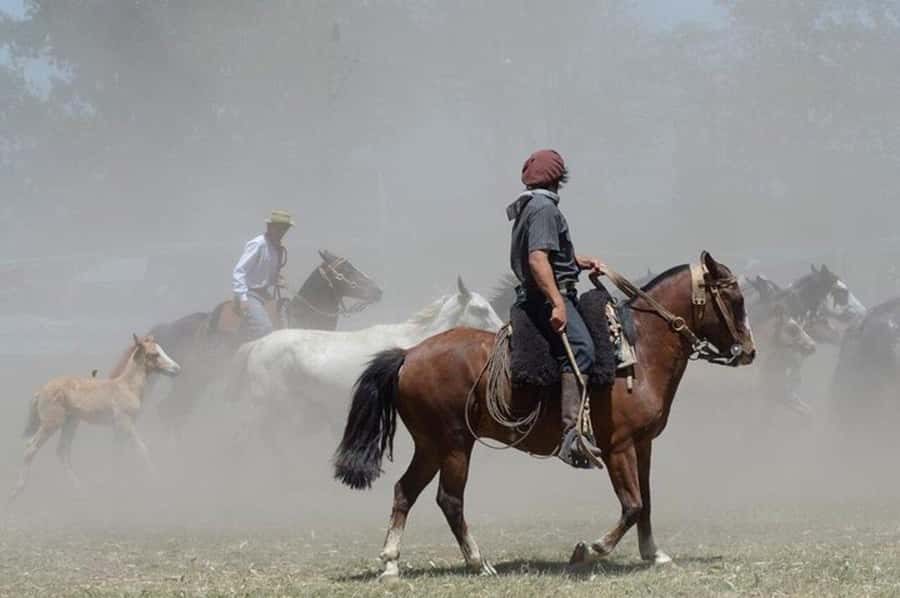 Full-Day at Santa Susana Ranch with BBQ, Drinks and Show - Mate and pastries close the afternoon