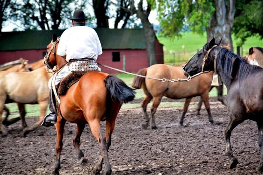Full-Day at Santa Susana Ranch with BBQ, Drinks and Show - Weather, timing, and a few practical cautions