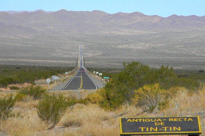 Full-day Cachi and Los Cardones National Park from Salta - Recta del Tin Tin and the giant cardones