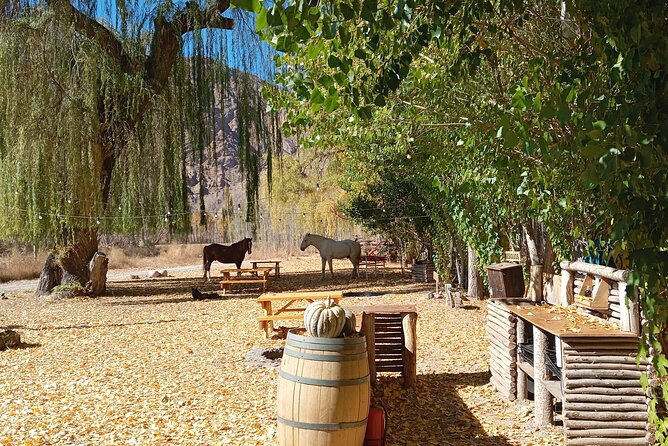 Full Day High Mountain Mendoza, Aconcagua and Inca Bridge Tour - The guides can shape the whole day