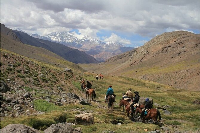 Full day Horseback Riding in the Andes and BBQ - Meeting the horses and gauchos