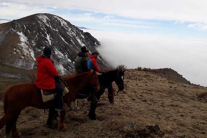 Full day Horseback Riding in the Andes and BBQ - The gaucho asado in the mountains