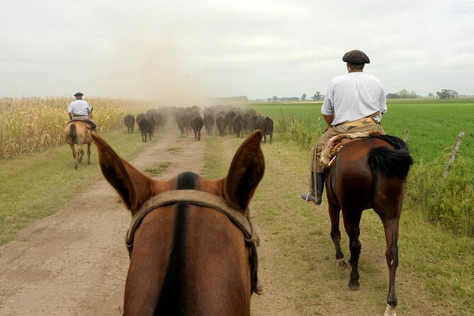 Full-Day Horseback Riding with Gauchos from Buenos Aires - Key points at a glance