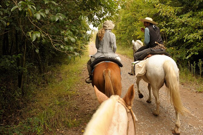 Full-Day Horseback Riding with Gauchos from Buenos Aires - An asado lunch with wine and maté