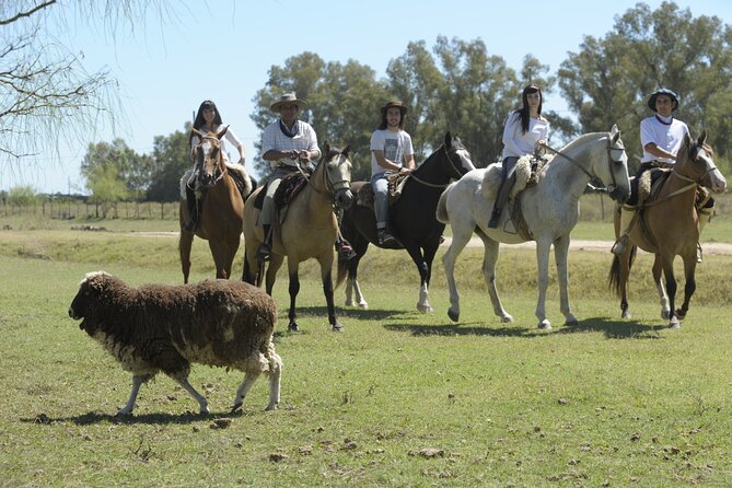 Full-Day Horseback Riding with Gauchos from Buenos Aires - Marcelo, Pablo, and the human side of the day