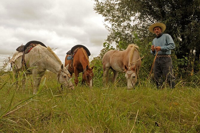 Full-Day Horseback Riding with Gauchos from Buenos Aires - What to bring and how to prepare