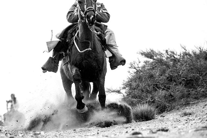 Full Day Horseback Riding - Four hours on horseback at 1,200 meters