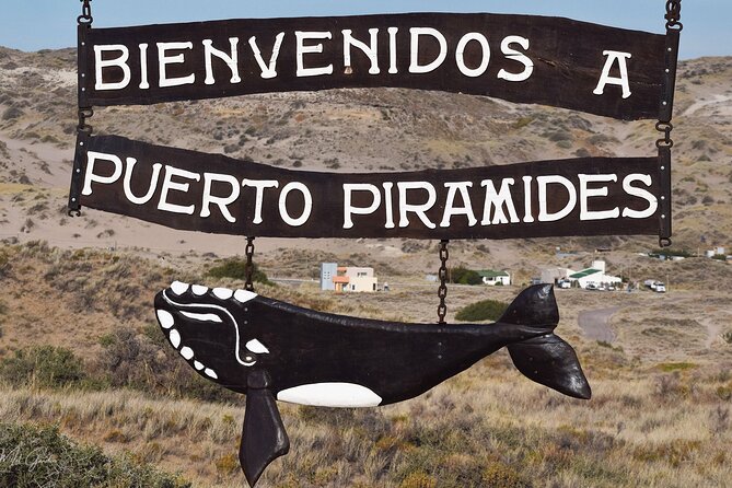 Full Day Peninsula Valdes Experience - optional Whale Watching - Starting at Ameghino Visitors Center