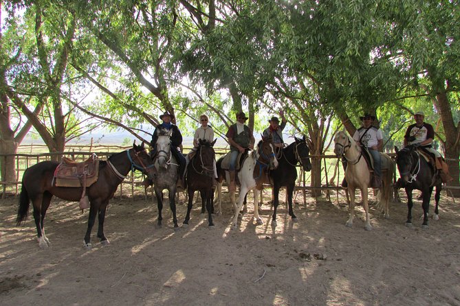 Full day ride at the foot of The Andes - Riding beneath the Andes for two to three and a half hours