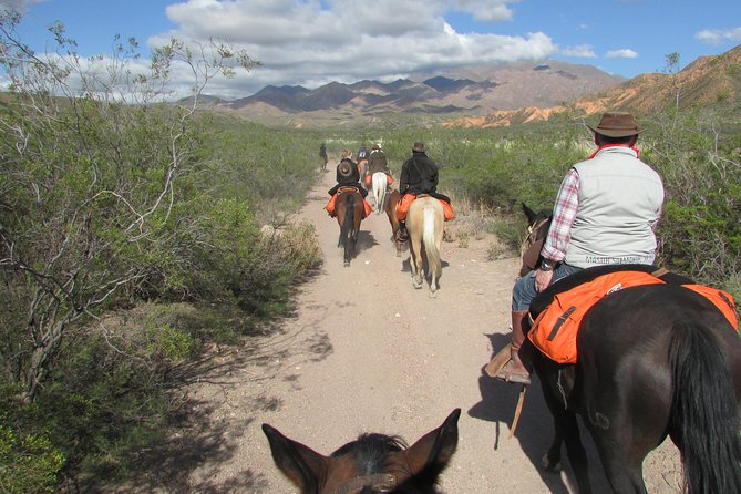 Full day ride at the foot of The Andes - The riverside asado and Mendoza wine
