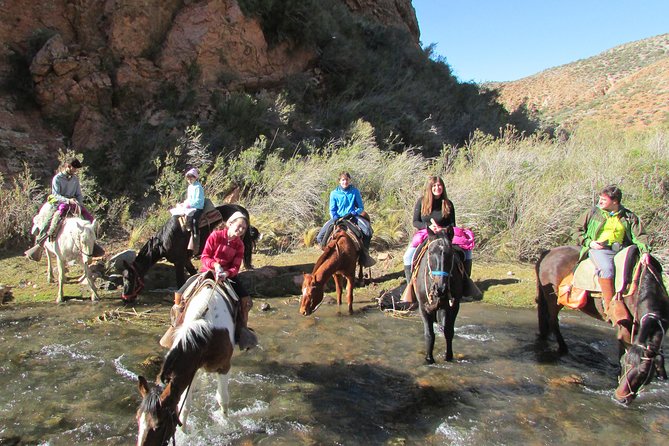 Full day ride at the foot of The Andes - Choosing your horse and settling into the saddle