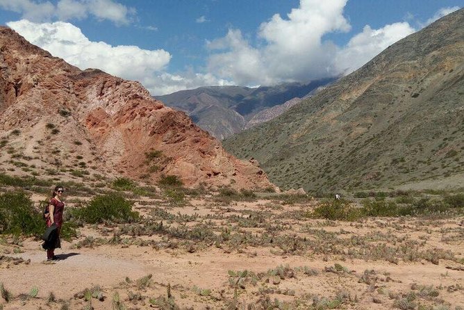Full-Day Tour Salinas Grandes and Purmamarca from Salta - Guide quality and language concerns