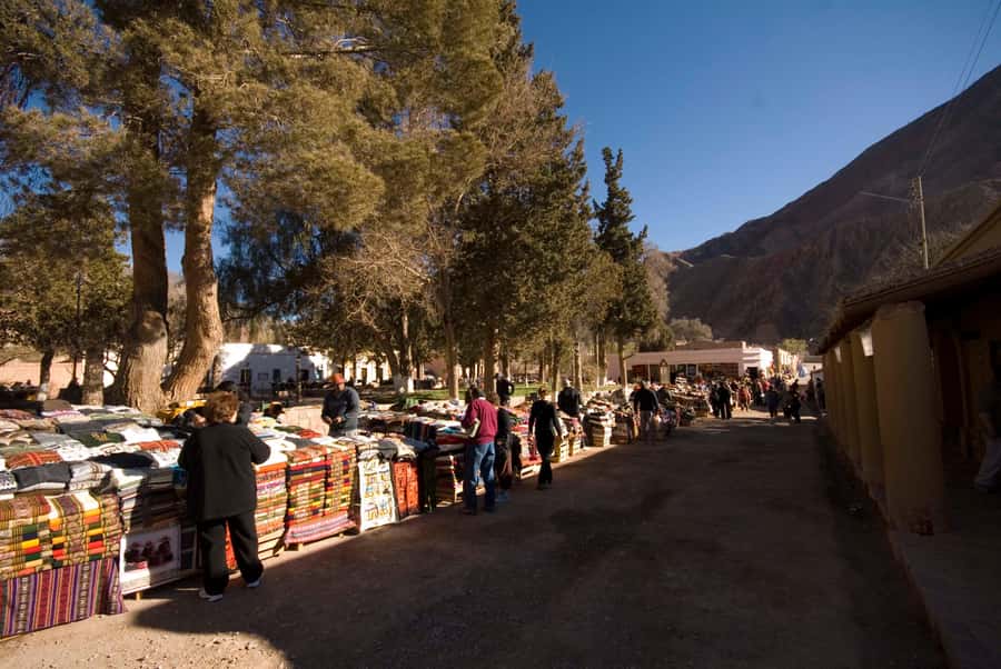 Full-Day Tour to Humahuaca from Salta - Who will get the most from this tour