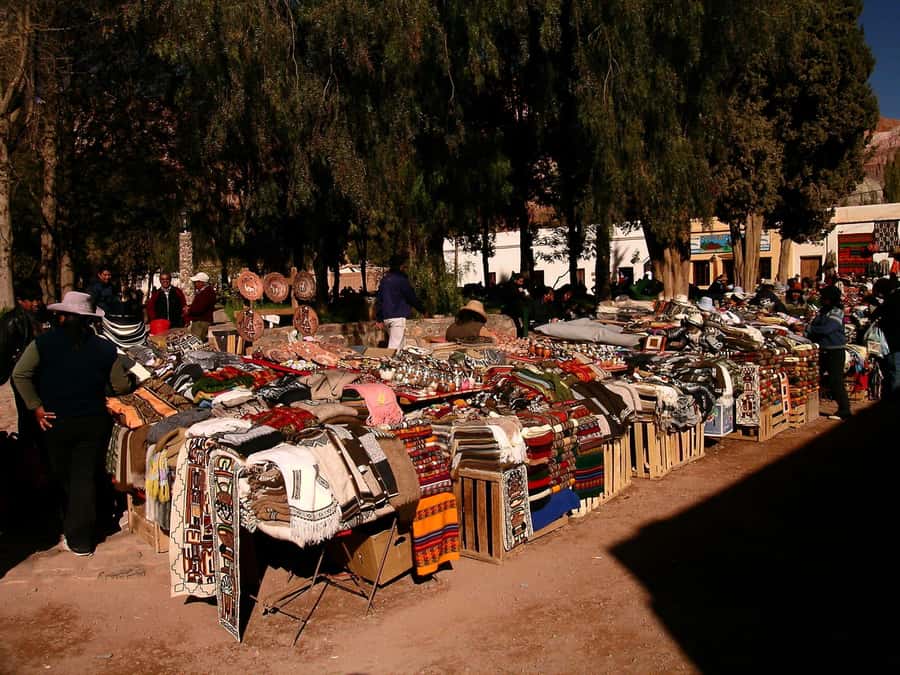 Full-Day Tour to Humahuaca from Salta - The guides can make or break the day