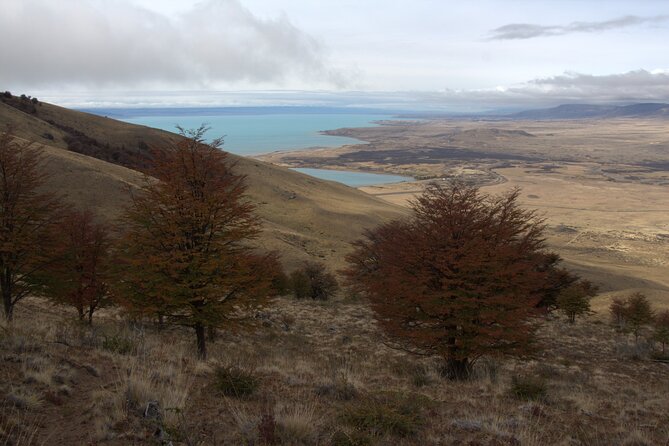 Full Day Trekking Adventure in Cerro Frias - Lunch, then coffee and cake at the quincho