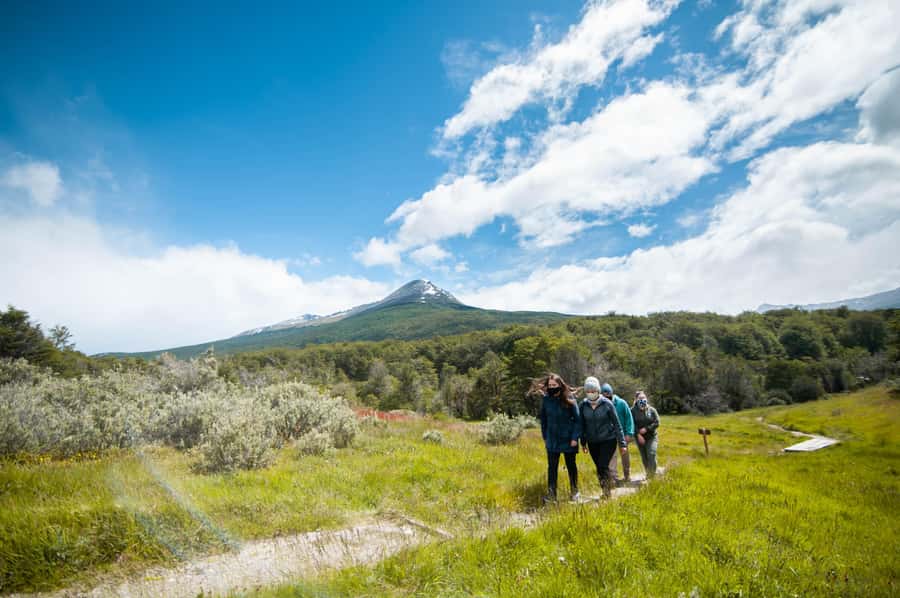 Full Day Trip to Tierra del Fuego National Park - Key points before you book