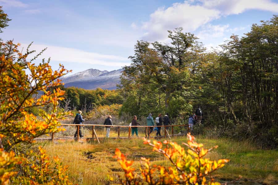 Full Day Trip to Tierra del Fuego National Park - From Ushuaia to the park entrance on National Route 3