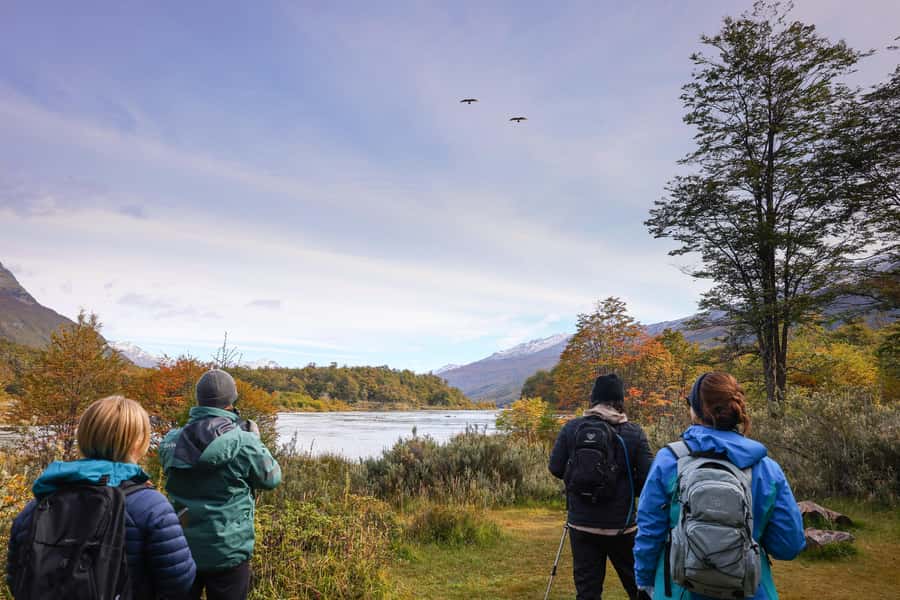 Full Day Trip to Tierra del Fuego National Park - Lapataia Bay and the end of the Pan-American Highway