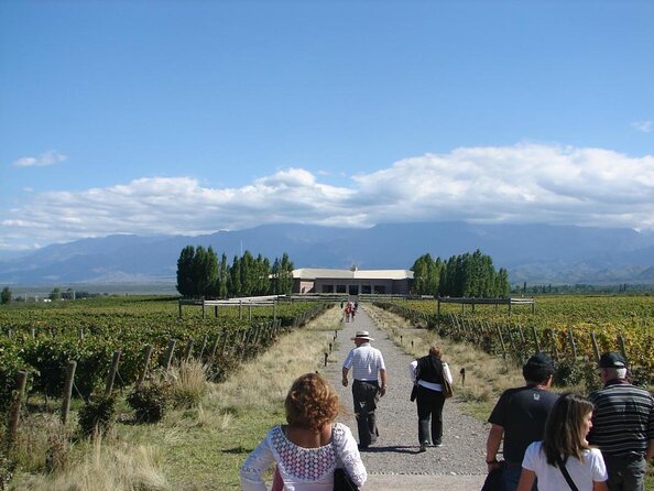 Full day Uco Valley Wine Experience with Salentein - Why the Uco Valley is worth a full day