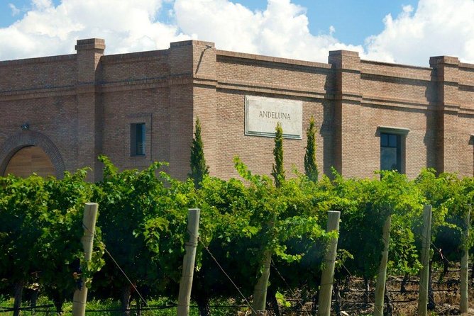Full day Uco Valley Wine Experience with Salentein - What your guide adds to the day