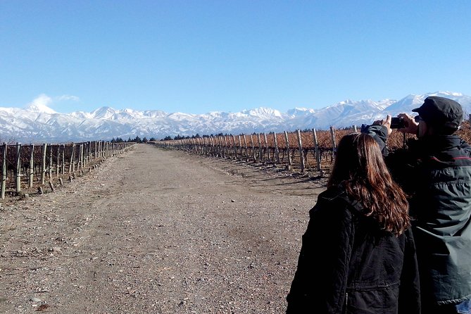 Full day Uco Valley Wine Experience with Salentein - Small group, large price