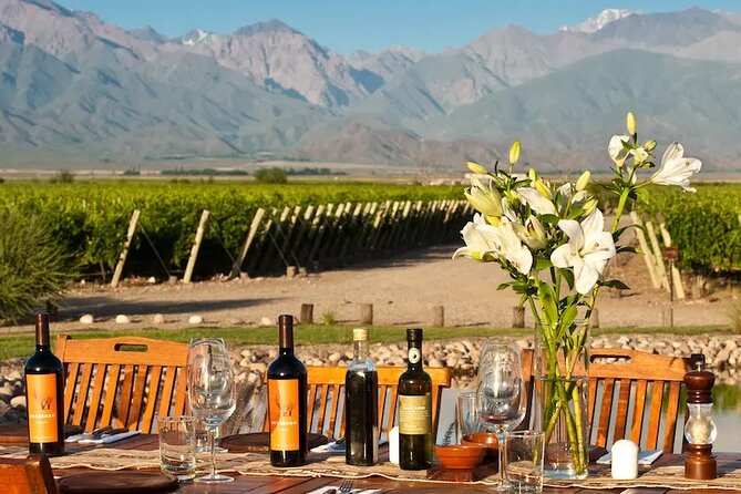 Full Day Wineries in Maipu and Lujan : 2/3 Wineries + 1 Olive Tree - Key points at a glance