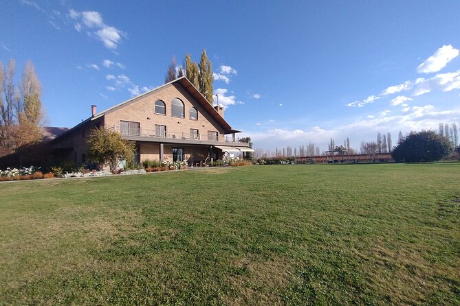 Full Day Wineries in Maipu and Lujan : 2/3 Wineries + 1 Olive Tree - Why this private Mendoza wine day works